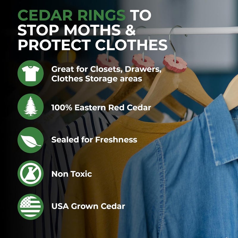 Professor Killamoth 80 Cedar Rings for Clothes Storage - Stop Clothes Damage - 80 Fresh Cedar Rings - Image 2
